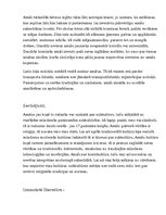 Referāts 'Subkultūra - amiši', 6.