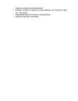 Referāts 'Subkultūra - amiši', 7.