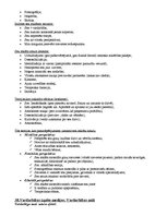 Konspekts 'Atbildes komunikācijas socioloģijas eksāmenam', 28.