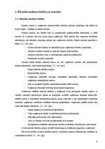 Diplomdarbs 'SIA "X" finansiālās darbības analīze un attīstības perspektīvas', 12.