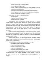 Diplomdarbs 'SIA "X" finansiālās darbības analīze un attīstības perspektīvas', 13.