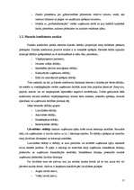 Diplomdarbs 'SIA "X" finansiālās darbības analīze un attīstības perspektīvas', 17.