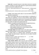 Diplomdarbs 'SIA "X" finansiālās darbības analīze un attīstības perspektīvas', 21.