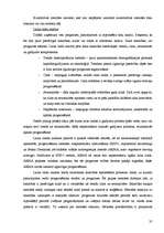 Diplomdarbs 'SIA "X" finansiālās darbības analīze un attīstības perspektīvas', 35.