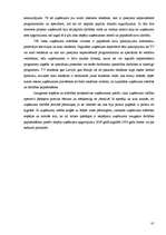 Diplomdarbs 'SIA "X" finansiālās darbības analīze un attīstības perspektīvas', 81.