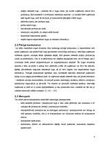 Referāts 'Konkurence un tās ietekme uz organizācijas attīstību', 6.