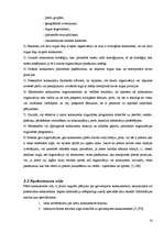 Referāts 'Konkurence un tās ietekme uz organizācijas attīstību', 16.