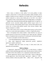 Konspekts 'Darba drošība', 1.