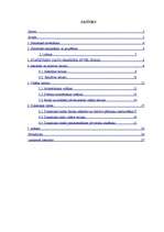 Referāts 'Ceļu satiksmes negadījumi Saldus rajonā', 2.