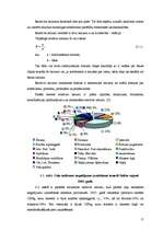 Referāts 'Ceļu satiksmes negadījumi Saldus rajonā', 11.