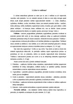 Referāts 'Talantīgu cilvēku vadīšana un motivēšana', 16.