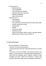 Referāts 'Talantīgu cilvēku vadīšana un motivēšana', 23.