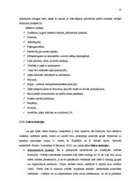 Referāts 'Talantīgu cilvēku vadīšana un motivēšana', 32.