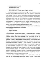 Referāts 'Talantīgu cilvēku vadīšana un motivēšana', 35.