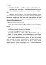 Referāts 'Apgrozāmā kapitāla pārvaldes efektivitātes novērtēšana', 3.