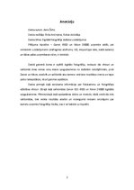 Referāts 'Digitālā fotogrāfija dažādos uzstādījumos', 2.