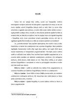 Referāts 'Digitālā fotogrāfija dažādos uzstādījumos', 5.