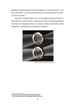 Referāts 'Digitālā fotogrāfija dažādos uzstādījumos', 12.