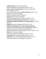 Referāts 'Tūrisma attīstības iespējas Balvu rajonā', 42.
