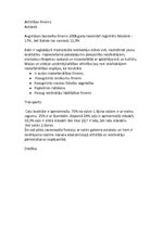 Referāts 'Tūrisma attīstības iespējas Balvu rajonā', 43.