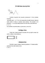 Referāts 'Vītnes', 5.