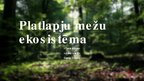 Prezentācija 'Platlapju mežu ekosistēma', 1.