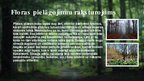 Prezentācija 'Platlapju mežu ekosistēma', 7.