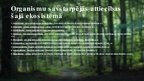 Prezentācija 'Platlapju mežu ekosistēma', 14.