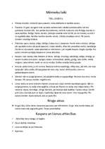 Konspekts 'Romāns "Mērnieku laiki"', 1.