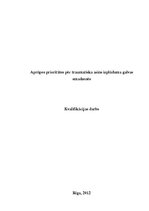 Referāts 'Aprūpes prioritātes pēc traumatiska asins izplūduma galvas smadzenēs', 1.