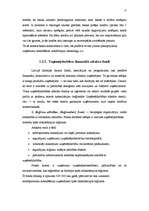 Referāts 'Uzņēmējdarbības finansēšanas avoti', 17.