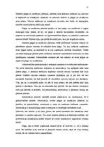 Referāts 'Uzņēmējdarbības finansēšanas avoti', 25.