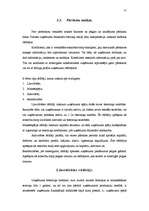 Referāts 'Uzņēmējdarbības finansēšanas avoti', 27.