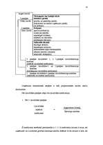 Referāts 'Uzņēmējdarbības finansēšanas avoti', 29.