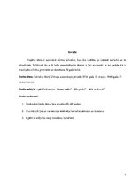 Referāts 'Autoritārā režīma laikraksti', 3.