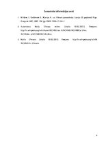 Referāts 'Autoritārā režīma laikraksti', 9.