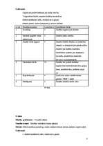 Prakses atskaite 'Stundu plāni vizuālajā mākslā', 4.