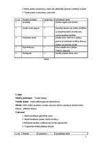 Prakses atskaite 'Stundu plāni vizuālajā mākslā', 5.