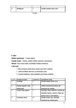 Prakses atskaite 'Stundu plāni vizuālajā mākslā', 9.