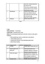 Prakses atskaite 'Stundu plāni vizuālajā mākslā', 10.