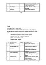 Prakses atskaite 'Stundu plāni vizuālajā mākslā', 11.