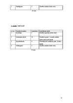 Prakses atskaite 'Stundu plāni vizuālajā mākslā', 14.