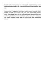 Konspekts 'Socioloģijas klasiskās teorijas: Emīls Dirkheims (Dirkems)', 5.