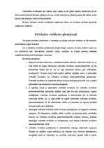 Referāts 'Zvērināts revidents', 11.