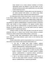 Referāts 'Zvērināts revidents', 12.