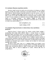 Paraugs 'Termiskā apstrāde', 5.