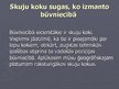 Prezentācija 'Koksnes sastāvdaļas, uzbūve un nozīme', 5.