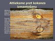 Prezentācija 'Koksnes sastāvdaļas, uzbūve un nozīme', 15.