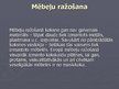 Prezentācija 'Koksnes sastāvdaļas, uzbūve un nozīme', 18.