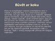 Prezentācija 'Koksnes sastāvdaļas, uzbūve un nozīme', 21.